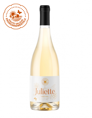 Vin Blanc : Clamens - Juliette